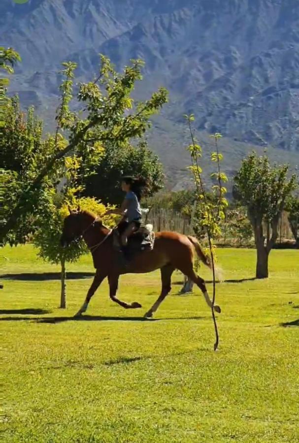Casa De Piedra * Villa Basilio Nievas