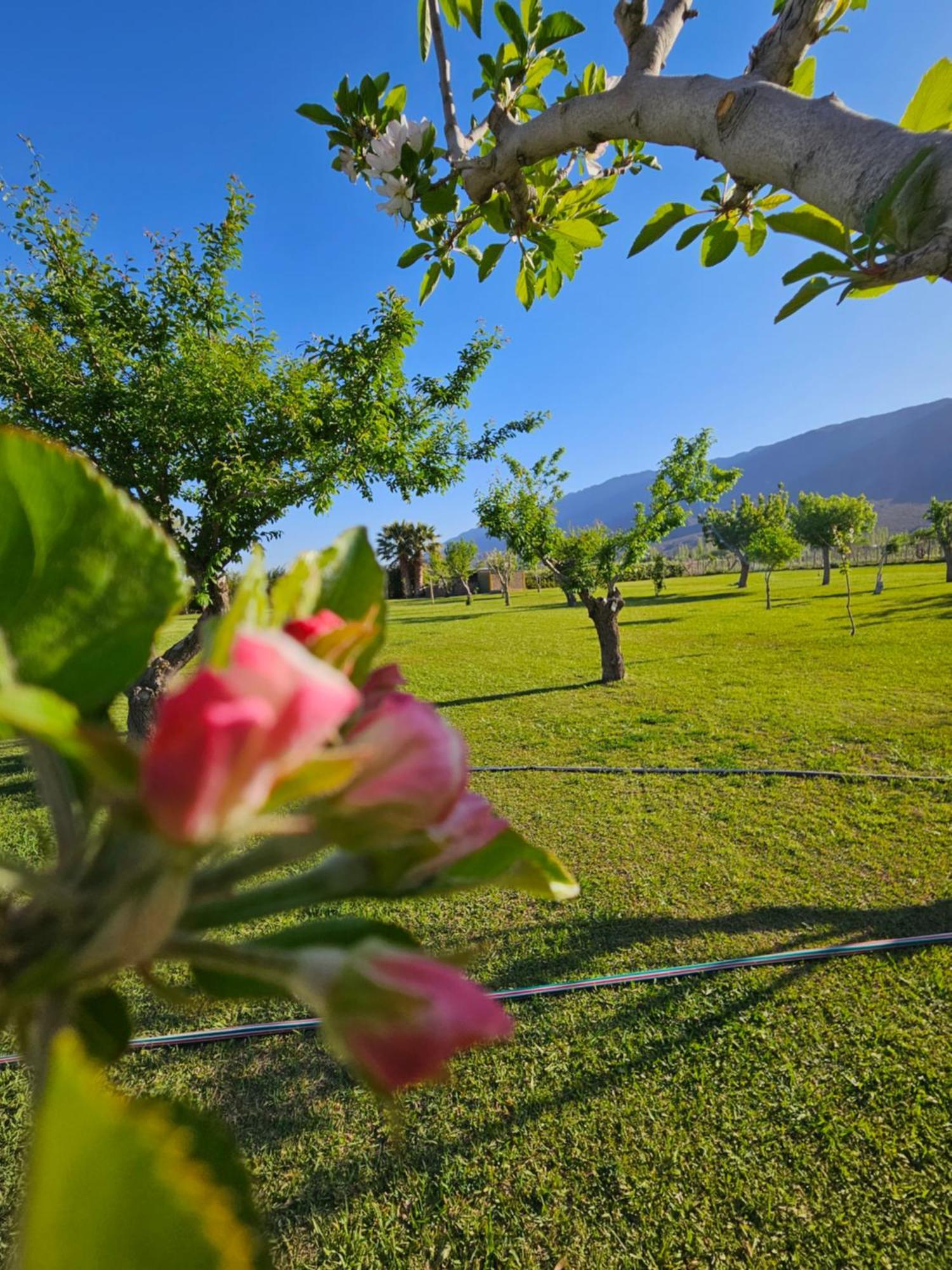Casa De Piedra * Villa Basilio Nievas